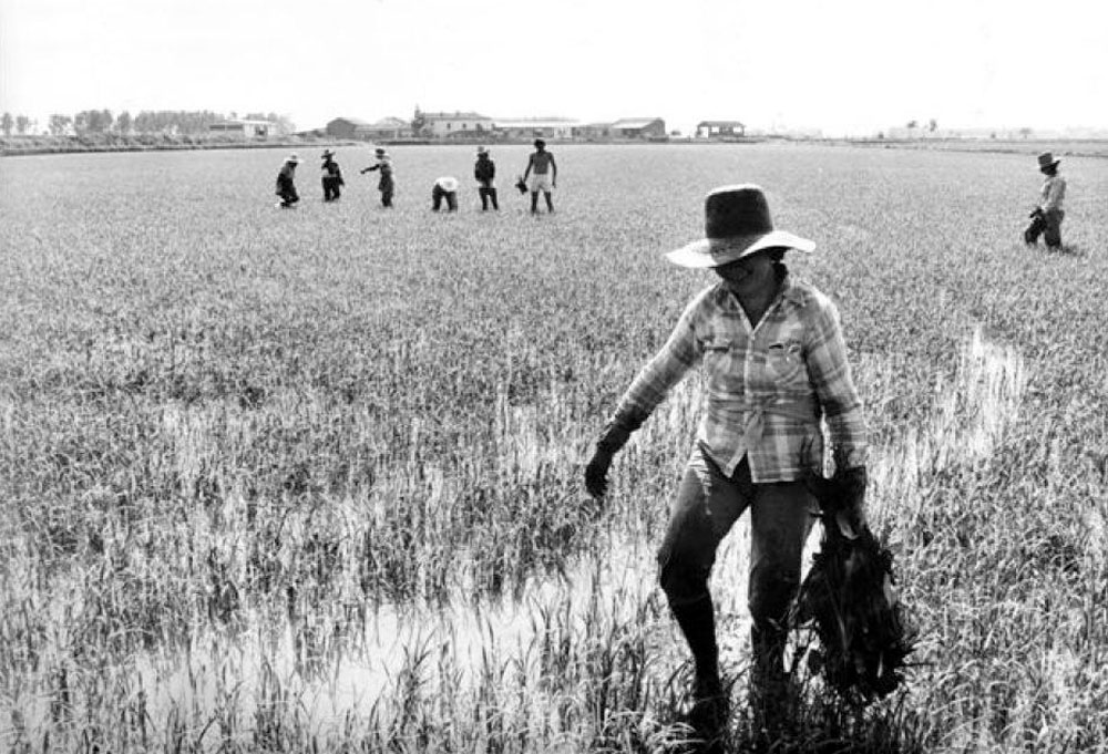 AZIENDA BIOLOGICA LESCA